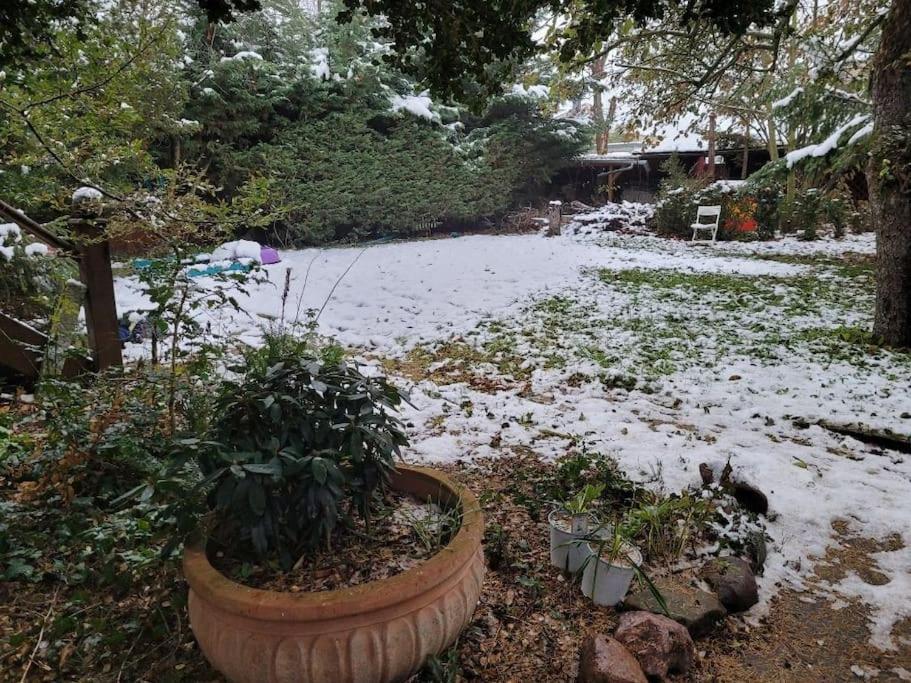 Gaestewohnung " Am Harsdorf " Magdeburg Zewnętrze zdjęcie